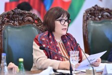 В Исламабаде прошла церемония открытия 3-й трёхсторонней встречи спикеров парламентов Азербайджан-Пакистан-Турция (ФОТО)