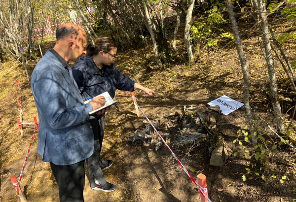 Сотрудники аппарата омбудсмена провели расследование на месте массового захоронения в Агдере (ФОТО)