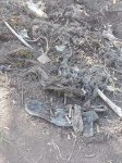 Сотрудники аппарата омбудсмена провели расследование на месте массового захоронения в Агдере (ФОТО)