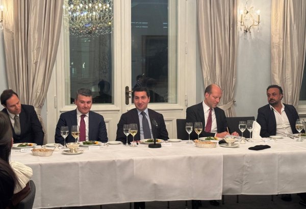 Хикмет Гаджиев обсудил с представителями Бундестага роль Азербайджана в укреплении в мира (ФОТО)