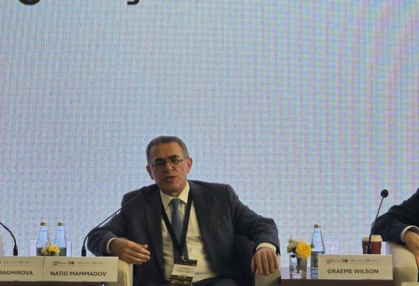 Искусственный интеллект значительно влияет на журналистику - Натиг Мамедли