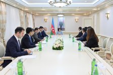 Сахиба Гафарова приняла делегацию во главе с новым генсеком ТЮРКПА (ФОТО)