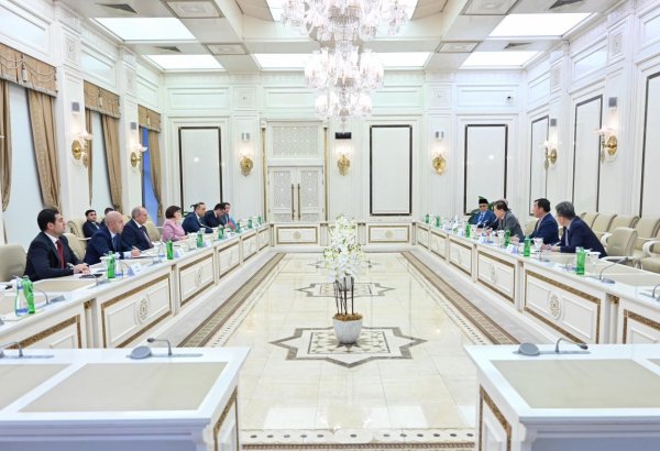 Сахиба Гафарова обсудила с представителем ICAPP вопросы политического сотрудничества