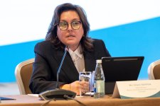 Состоялось мероприятие Диалог высокого уровня по вопросам климата и городов D-8 (ФОТО)