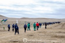 Baku Steel Company укрепляет вклад в защиту окружающей среды: высажено около 3000 деревьев (ФОТО)