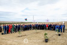 Baku Steel Company укрепляет вклад в защиту окружающей среды: высажено около 3000 деревьев (ФОТО)