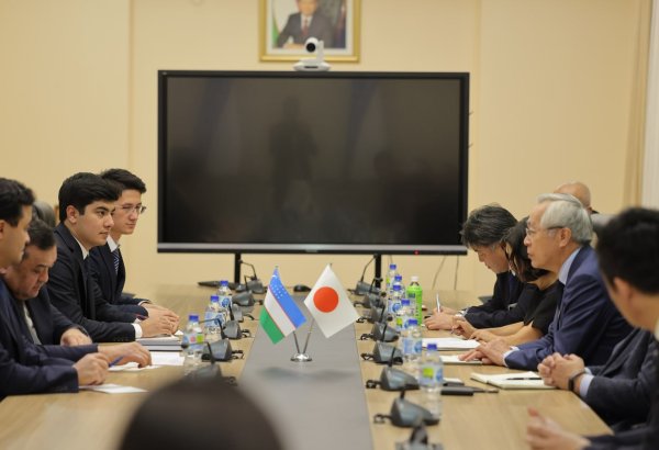 Узбекистан и Япония обсудили расширение сотрудничества в аграрной сфере