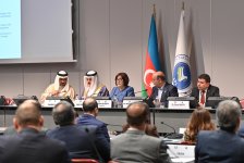 Сахиба Гафарова председательствовала на Координационном совещании Азиатской Парламентской Ассамблеи в Женеве (ФОТО)