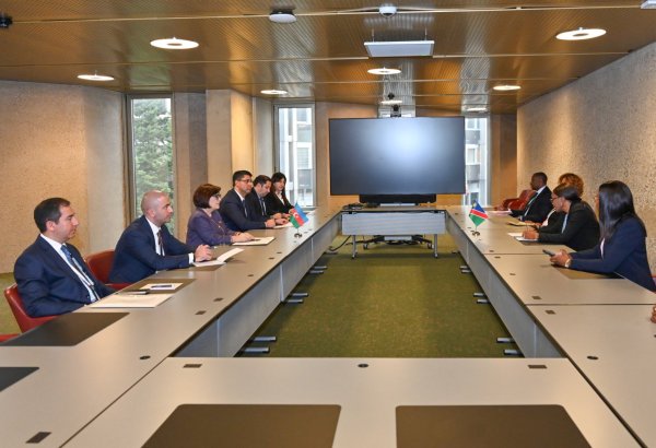 Сахиба Гафарова встретилась с председателями парламентов Намибии и Боснии и Герцеговины (ФОТО)