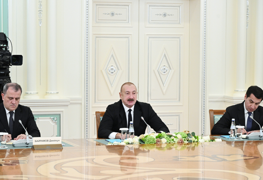 Президент Ильхам Алиев: Азербайджан и Казахстан имеют большой потенциал в развитии энергетического сектора (Полный текст выступления главы государства)