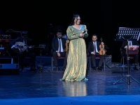 В Гянджинской государственной филармонии состоялся концерт "Азербайджанское кино в мелодиях" (ФОТО)