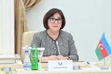 Спикер Милли Меджлиса провела обсуждения с министром иностранных дел Эстонии (ФОТО)