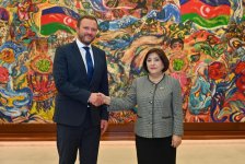Спикер Милли Меджлиса провела обсуждения с министром иностранных дел Эстонии (ФОТО)