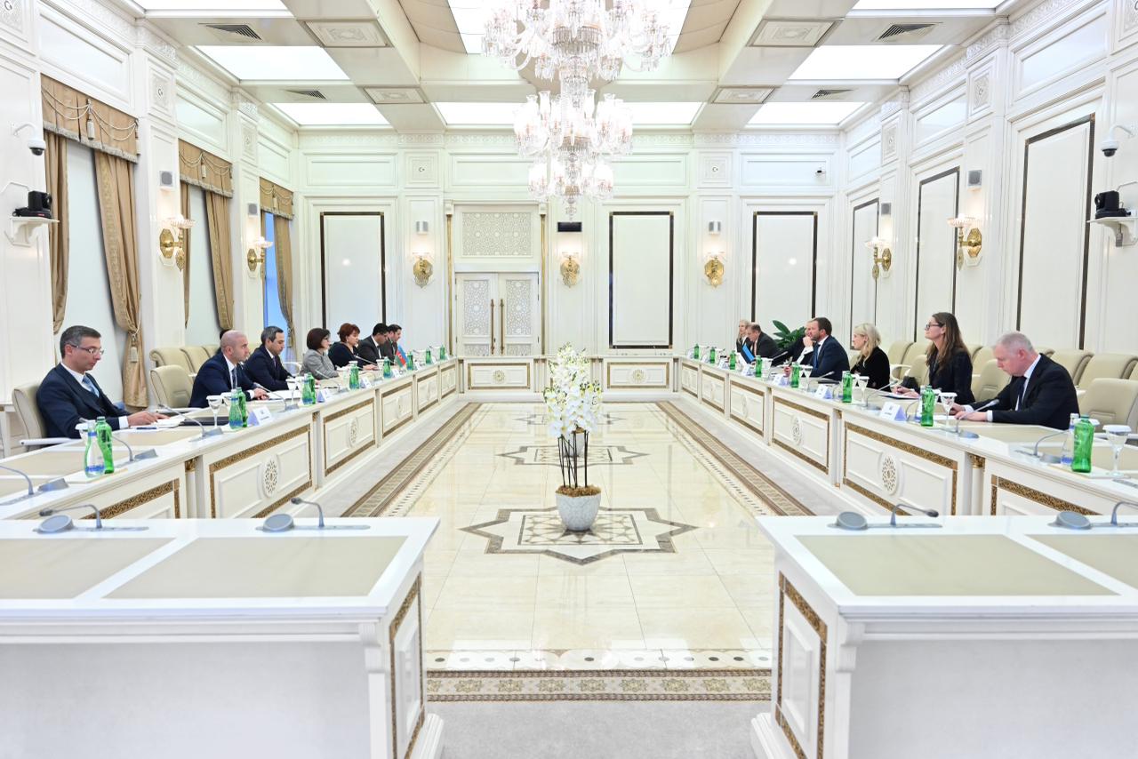 Спикер Милли Меджлиса провела обсуждения с министром иностранных дел Эстонии (ФОТО)