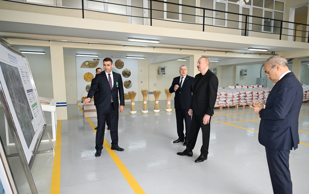 Президент Ильхам Алиев ознакомился с деятельностью семеноводческого предприятия в Сабирабадском промышленном квартале (ФОТО)