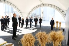 Президент Ильхам Алиев принял участие в открытии завода по переработке ячменя ООО Promalt в Имишли (ФОТО)