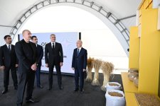 Президент Ильхам Алиев принял участие в открытии завода по переработке ячменя ООО Promalt в Имишли (ФОТО)