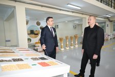 Президент Ильхам Алиев ознакомился с деятельностью семеноводческого предприятия в Сабирабадском промышленном квартале (ФОТО)