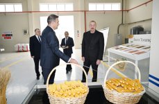 Президент Ильхам Алиев ознакомился с деятельностью семеноводческого предприятия в Сабирабадском промышленном квартале (ФОТО)