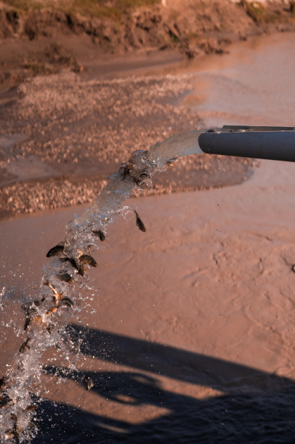 Вице-президент Фонда Гейдара Алиева Лейла Алиева и руководитель Баку Медиа Центра Арзу Алиева приняли участие в церемонии открытия Ахар-Бахарского национального парка в Гахском районе (ФОТО)