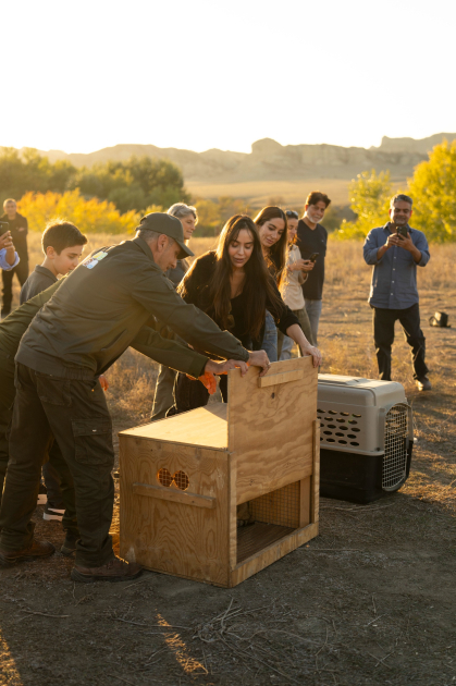 Вице-президент Фонда Гейдара Алиева Лейла Алиева и руководитель Баку Медиа Центра Арзу Алиева приняли участие в церемонии открытия Ахар-Бахарского национального парка в Гахском районе (ФОТО)