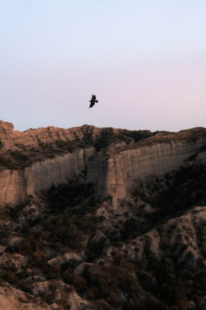 Вице-президент Фонда Гейдара Алиева Лейла Алиева и руководитель Баку Медиа Центра Арзу Алиева приняли участие в церемонии открытия Ахар-Бахарского национального парка в Гахском районе (ФОТО)