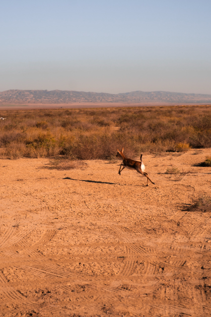 Вице-президент Фонда Гейдара Алиева Лейла Алиева и руководитель Баку Медиа Центра Арзу Алиева приняли участие в церемонии открытия Ахар-Бахарского национального парка в Гахском районе (ФОТО)