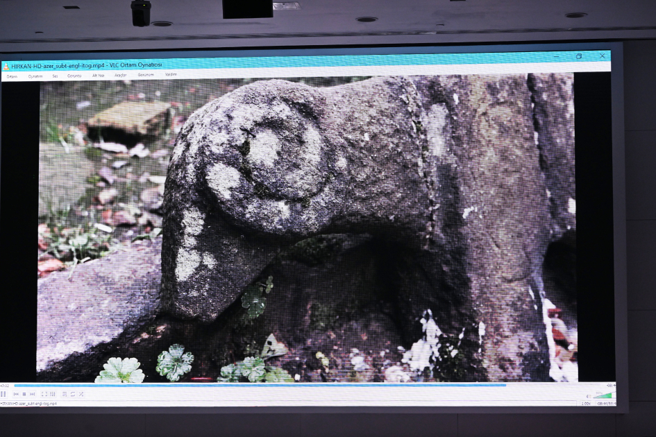 Лейла Алиева приняла участие в презентации документального фильма «Гиркан» (ФОТО)