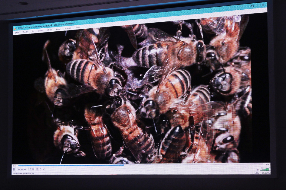 Лейла Алиева приняла участие в презентации документального фильма «Гиркан» (ФОТО)