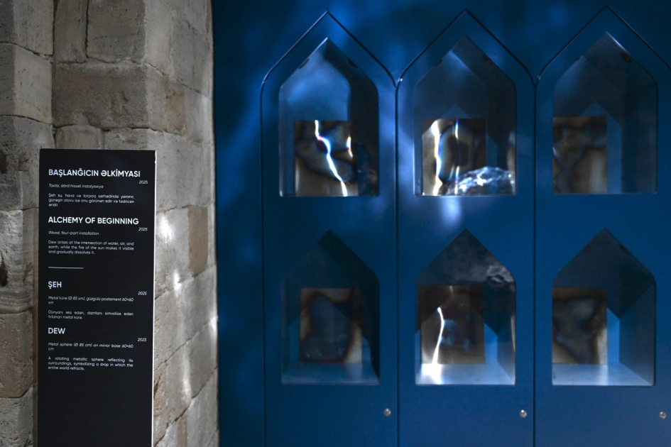 Art Weekend представляет: выставка «Роса. Утро, которого не было» (ФОТО)