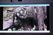 Лейла Алиева приняла участие в презентации документального фильма «Гиркан» (ФОТО)