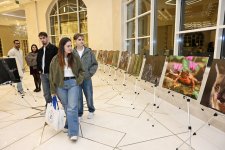 Лейла Алиева приняла участие в презентации документального фильма «Гиркан» (ФОТО)