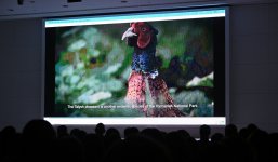 Лейла Алиева приняла участие в презентации документального фильма «Гиркан» (ФОТО)