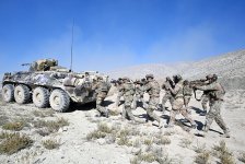 Завершились совместные учения «Несокрушимое партнёрство-2025» (ФОТО)