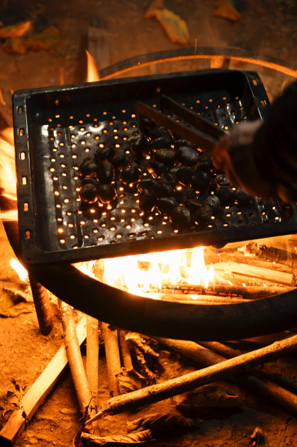 Вице-президент Фонда Гейдара Алиева Лейла Алиева встретилась в Габале с участником проекта «Молодой пчеловод» (ФОТО)