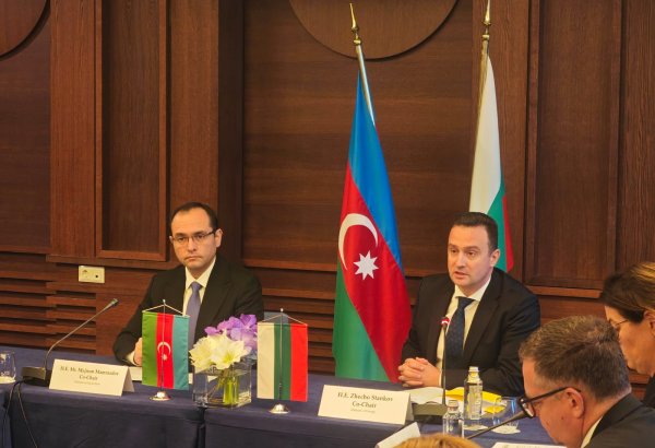 Болгария видит новые возможности сотрудничества с Азербайджаном помимо энергетики – министр