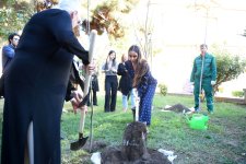 В рамках ART Weekend представлен перформанс «Фисташка: живое наследие» (ФОТО)