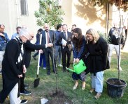 В рамках ART Weekend представлен перформанс «Фисташка: живое наследие» (ФОТО)