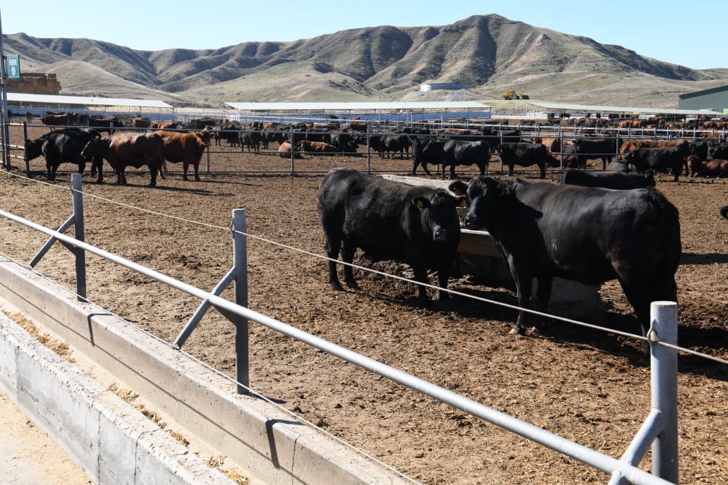 Руководящие лица аккредитованных в Азербайджане посольств и международных организаций осмотрели железнодорожную станцию Хакари (ФОТО/ВИДЕО)