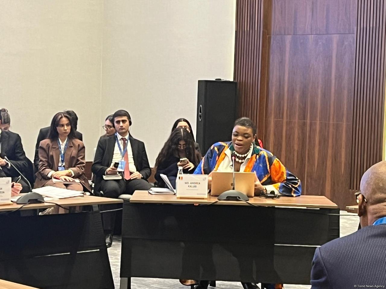 Прибыль Бельгии от добычи каучука в Конго стала социальным ударом для общества — Андреа Калуби