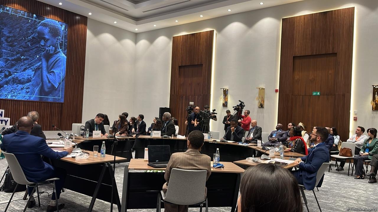 В Баку проходит международная конференция "Бельгийский колониализм: признание и ответственность"