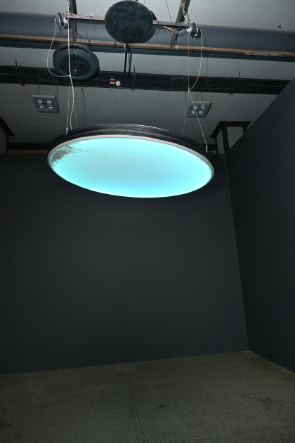 В Музее каменной летописи открылись выставки в рамках фестиваля Art Weekend (ФОТО)