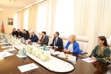 Азербайджан и Украина расширяют сотрудничество в сфере здравоохранения (ФОТО)