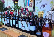 Фестиваль оливок в Ичеришехер: аромат осени, вкус традиций и энергия здоровья (ФОТО)