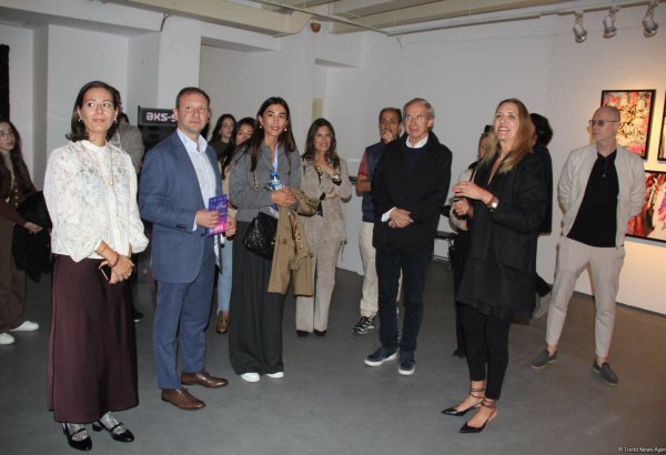 Art Weekend в Баку - открылась выставка "Состояние потока ", отражённый в воде город (ФОТО)