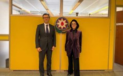 Народная артистка Азербайджана Фирангиз Ализаде приняла участие в сессии ЮНЕСКО в Париже (ФОТО)