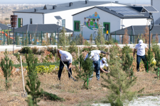 AzInTelecom организовал акцию по посадке деревьев в Агдаме (ФОТО)