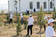 AzInTelecom организовал акцию по посадке деревьев в Агдаме (ФОТО)