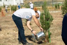 AzInTelecom организовал акцию по посадке деревьев в Агдаме (ФОТО)