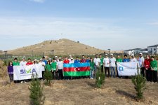AzInTelecom организовал акцию по посадке деревьев в Агдаме (ФОТО)